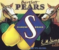 bartlett-pears