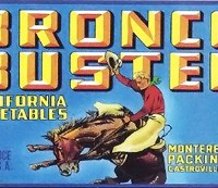 bronco-buster