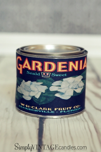 gardenia-featured