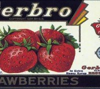 gerbro-strawberries