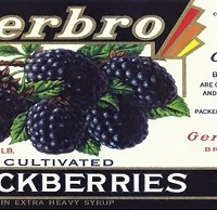 gerbro_blackberries