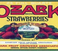 ozark-strawberries