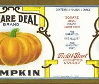 square-deal-pumpkin